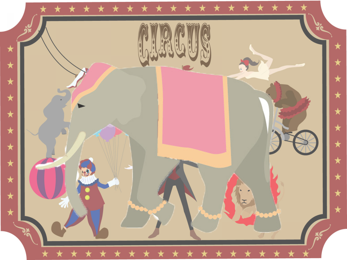 Article 229 From the ALUMNI Editing Room,  The Elephant in the Circus